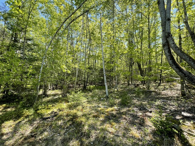 M8L11-1 Fowles Rd, Searsmont, ME 04973 - photo 5