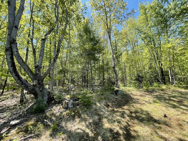 M8L11-1 Fowles Rd, Searsmont, ME 04973 - photo 6