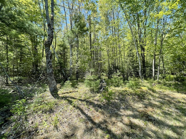 M8L11-1 Fowles Rd, Searsmont, ME 04973 - photo 7