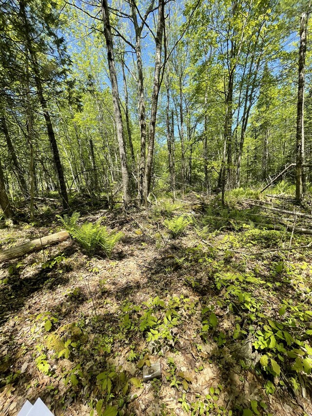 M8L16 Fowles Rd, Searsmont, ME 04973