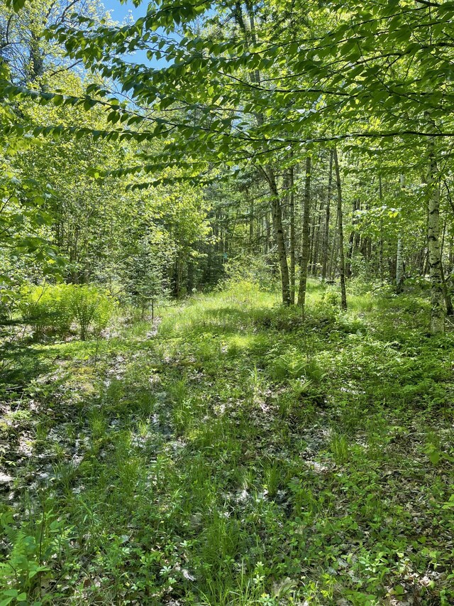 M8L16 Fowles Rd, Searsmont, ME 04973