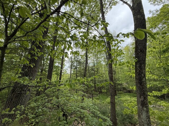 LOT2 Naples Rd, Harrison, ME 04040