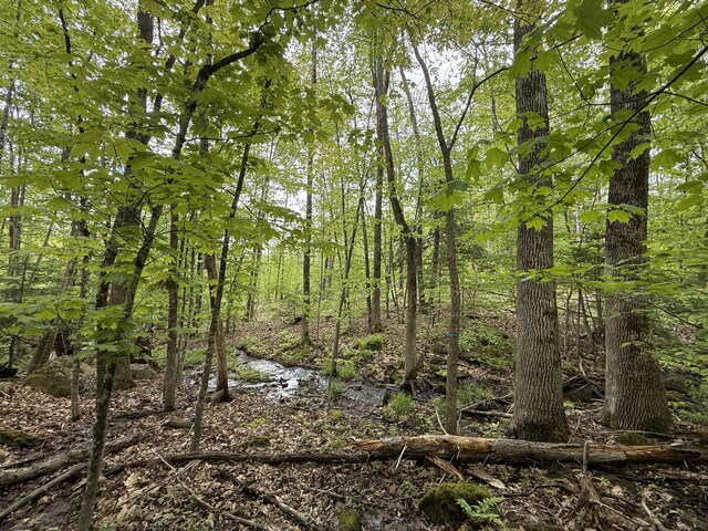 LOT2 Naples Rd, Harrison, ME 04040