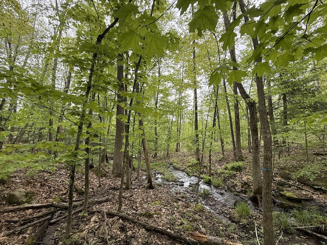 LOT2 Naples Rd, Harrison, ME 04040