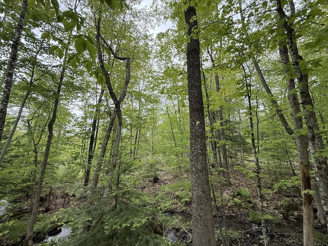 LOT2 Naples Rd, Harrison, ME 04040