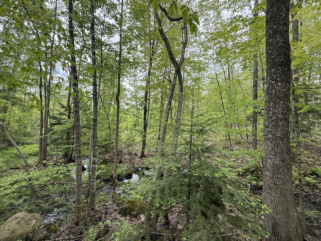 LOT2 Naples Rd, Harrison, ME 04040