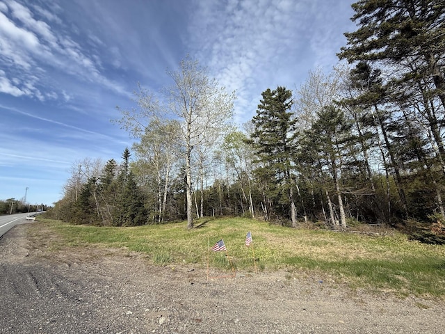 LOT8 Airline Rd, Alexander, ME 04694 - photo 13