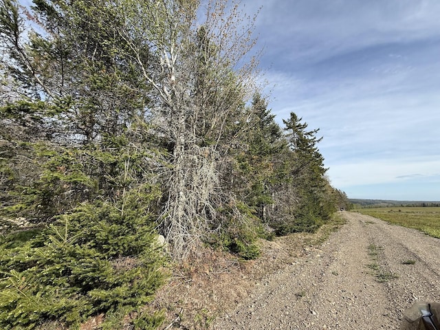 LOT8 Airline Rd, Alexander, ME 04694 - photo 17