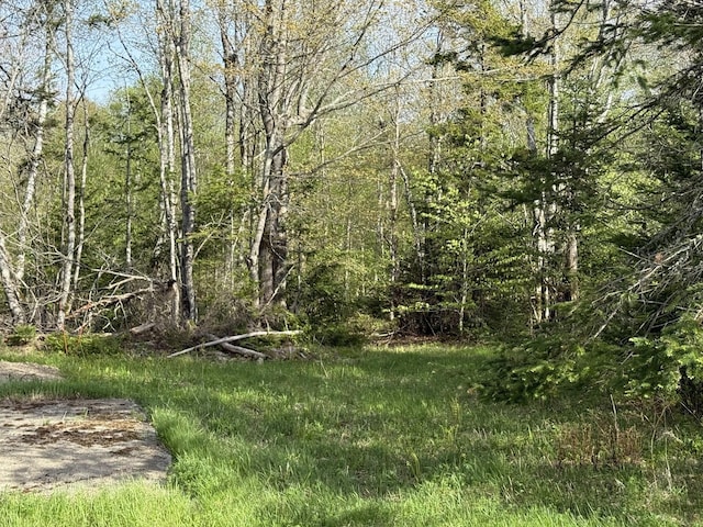 LOT8 Airline Rd, Alexander, ME 04694 - photo 18