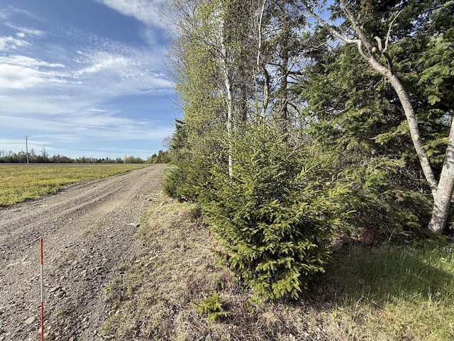 LOT8 Airline Rd, Alexander, ME 04694 - photo 23