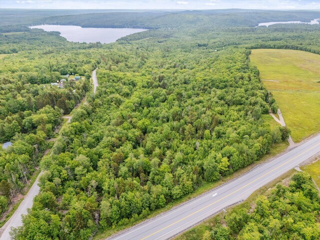 LOT8 Airline Rd, Alexander, ME 04694 - photo 9