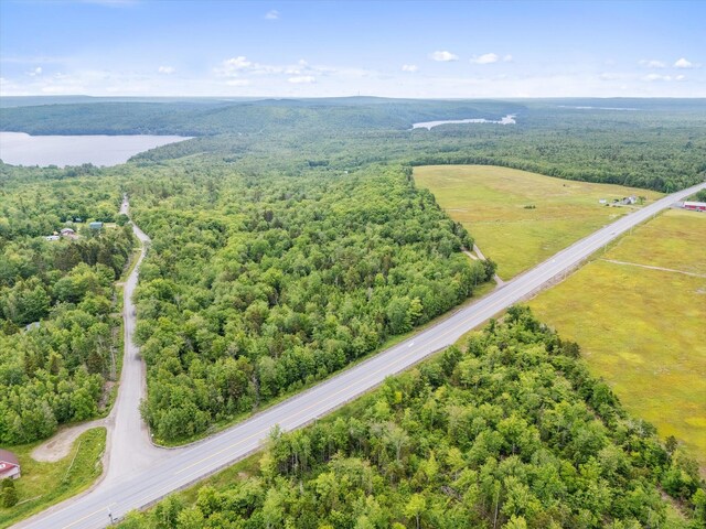 LOT8 Airline Rd, Alexander, ME 04694 - photo 8