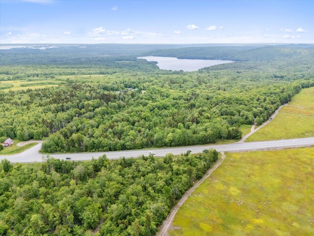 LOT8 Airline Rd, Alexander, ME 04694 - photo 10