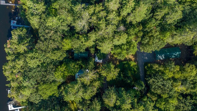 68 Shepards Ln, Norway, ME 04268 - photo 51