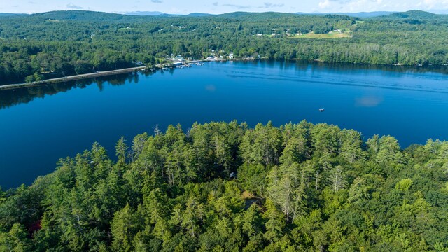 68 Shepards Ln, Norway, ME 04268 - photo 53