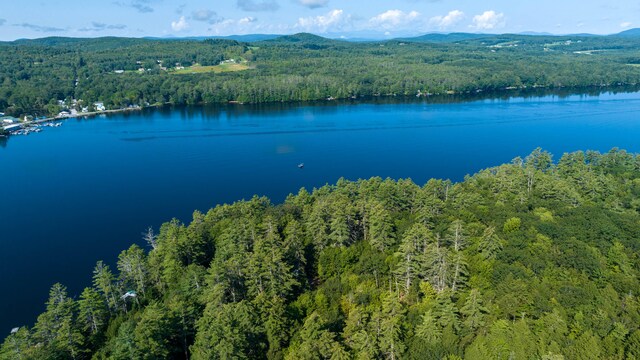 68 Shepards Ln, Norway, ME 04268 - photo 54