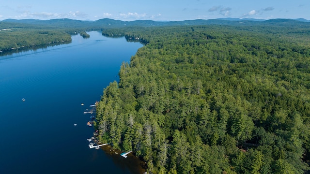 68 Shepards Ln, Norway, ME 04268 - photo 55