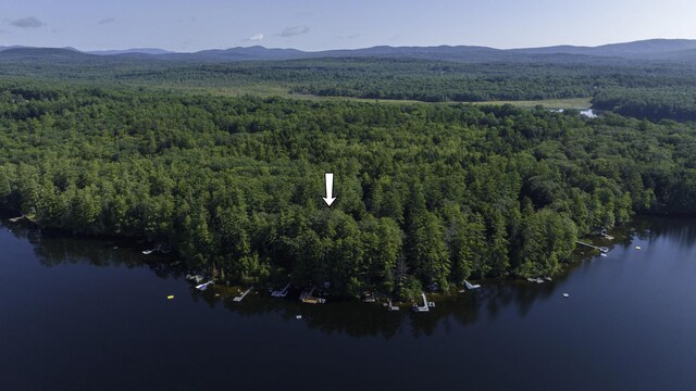 68 Shepards Ln, Norway, ME 04268 - photo 56