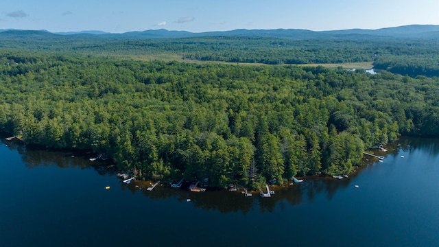 68 Shepards Ln, Norway, ME 04268 - photo 57