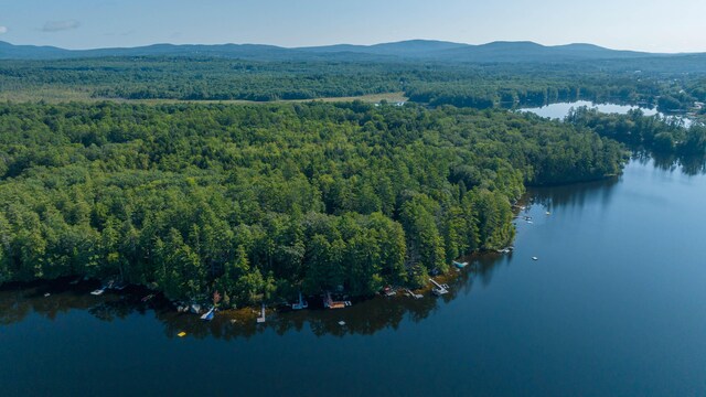 68 Shepards Ln, Norway, ME 04268 - photo 58