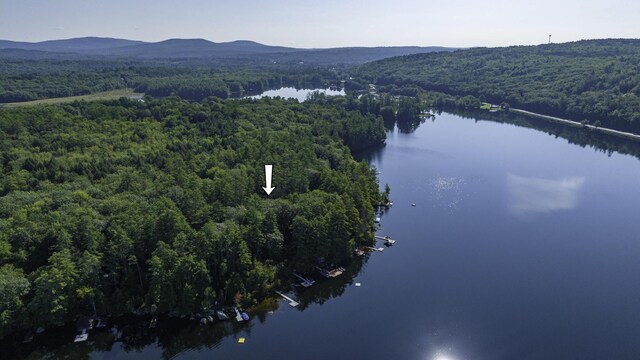 68 Shepards Ln, Norway, ME 04268 - photo 59