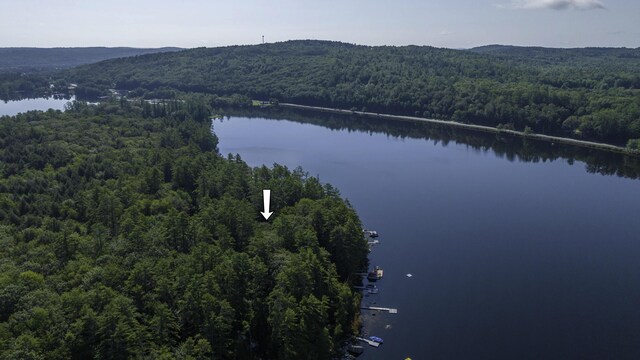 68 Shepards Ln, Norway, ME 04268 - photo 61