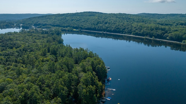 68 Shepards Ln, Norway, ME 04268 - photo 62
