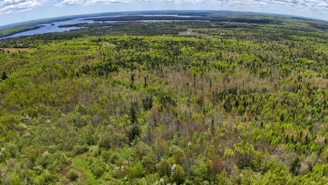 LOT4 E Ridge Rd, Cooper, ME 04657 - photo 10
