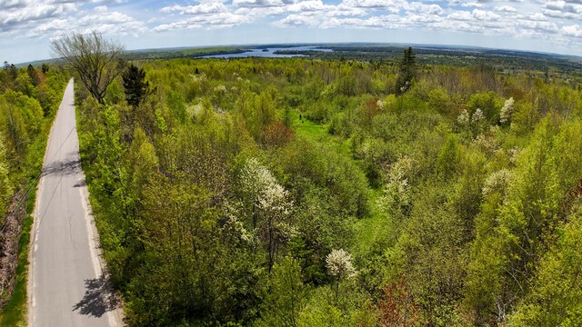 LOT4 E Ridge Rd, Cooper, ME 04657 - photo 3