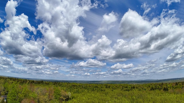 LOT4 E Ridge Rd, Cooper, ME 04657 - photo 13