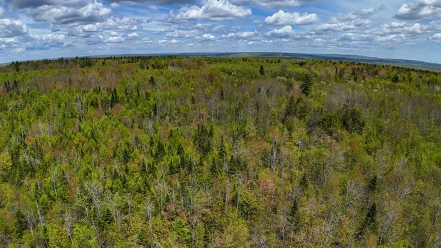 LOT4 E Ridge Rd, Cooper, ME 04657 - photo 11