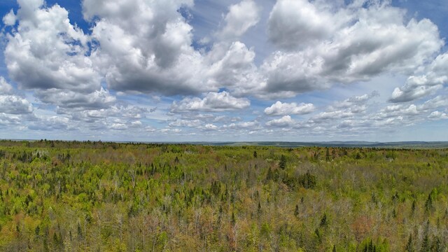 LOT4 E Ridge Rd, Cooper, ME 04657 - photo 12