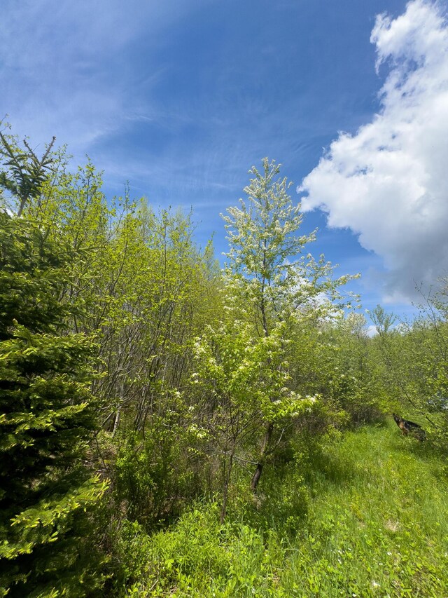 LOT4 E Ridge Rd, Cooper, ME 04657 - photo 8