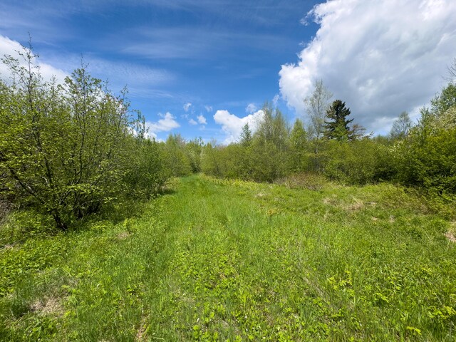 LOT4 E Ridge Rd, Cooper, ME 04657 - photo 7