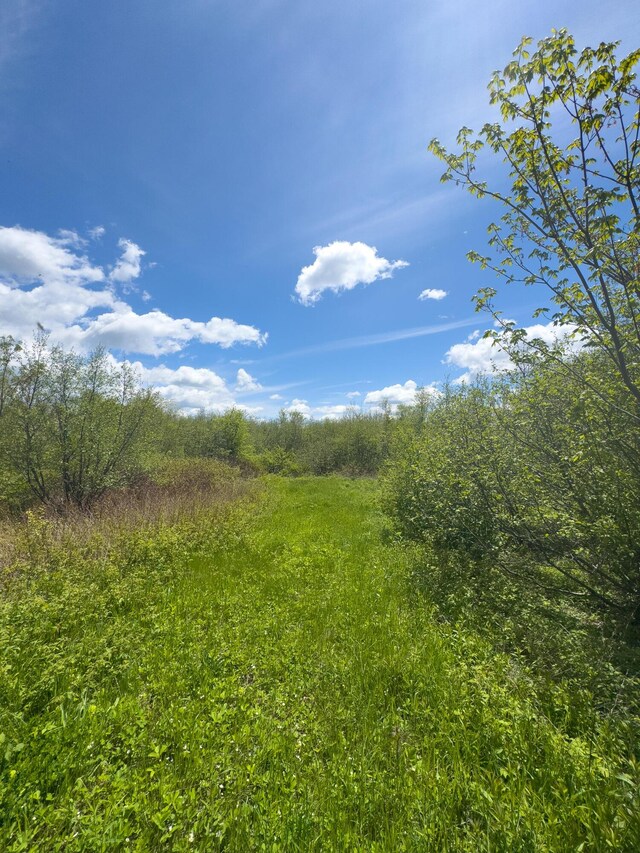 LOT4 E Ridge Rd, Cooper, ME 04657 - photo 5