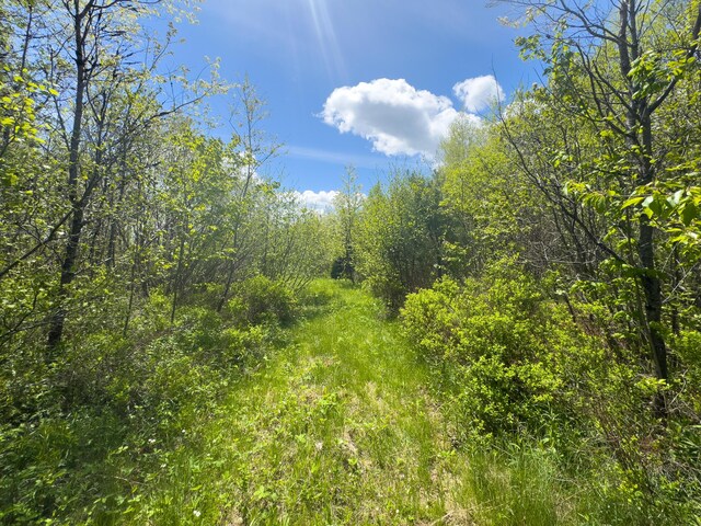 LOT4 E Ridge Rd, Cooper, ME 04657 - photo 4
