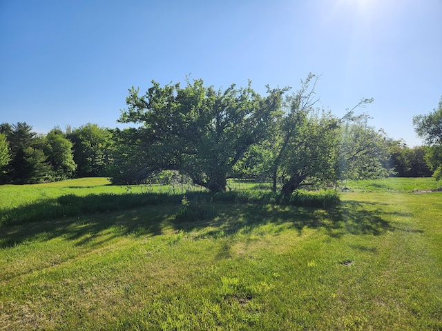 1542 Moosehead Trail Highway, Plymouth, ME 04969 - view of grassy yard