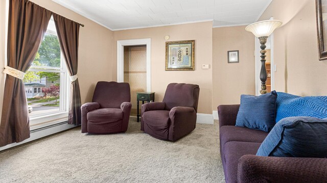 151 Birch St Unit A, B, Bangor, ME 04401 - carpeted living area with ornamental molding and baseboards