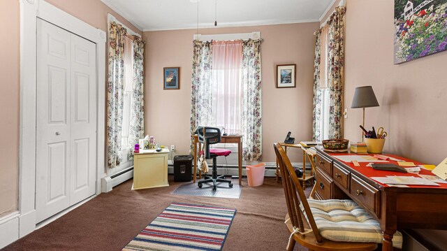 151 Birch St Unit A, B, Bangor, ME 04401 - office with carpet flooring, ornamental molding, and a baseboard radiator