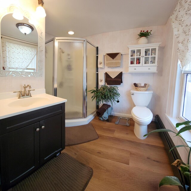 151 Birch St Unit A, B, Bangor, ME 04401 - full bath featuring vanity, a stall shower, wood finished floors, and toilet