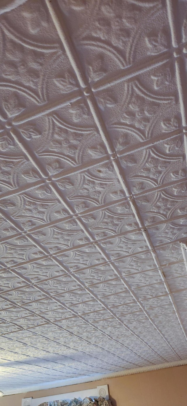 151 Birch St Unit A, B, Bangor, ME 04401 - detailed view of an ornate ceiling