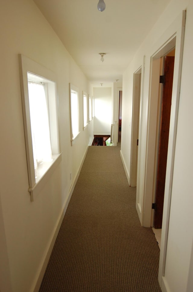 14 Auditorium Park, Northport, ME 04849 - hall featuring carpet floors and baseboards