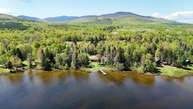 50 Hook Ln, Frenchtown Twp, ME 04441 - bird's eye view of a forest and a water and mountain view