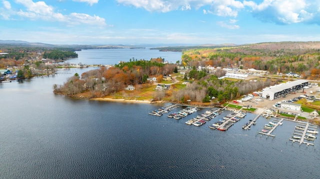 18 Scenic View Dr, Naples, ME 04055 - bird's eye view of a nearby body of water and a marina