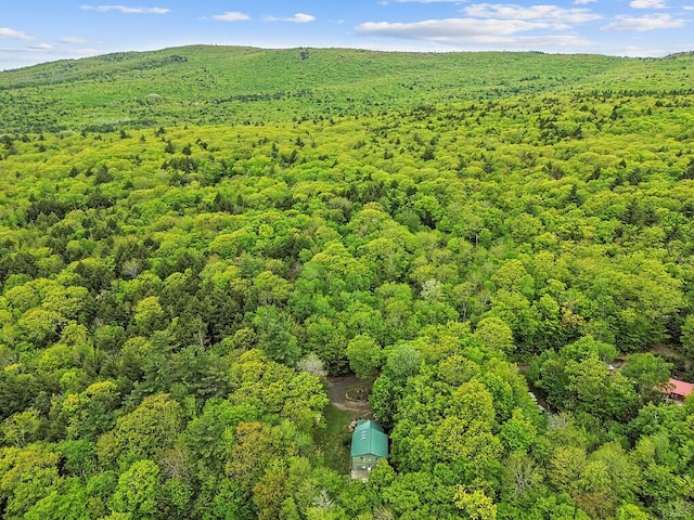 16 Trillium Ests, Rome, ME 04963 - bird's eye view of a heavily wooded area