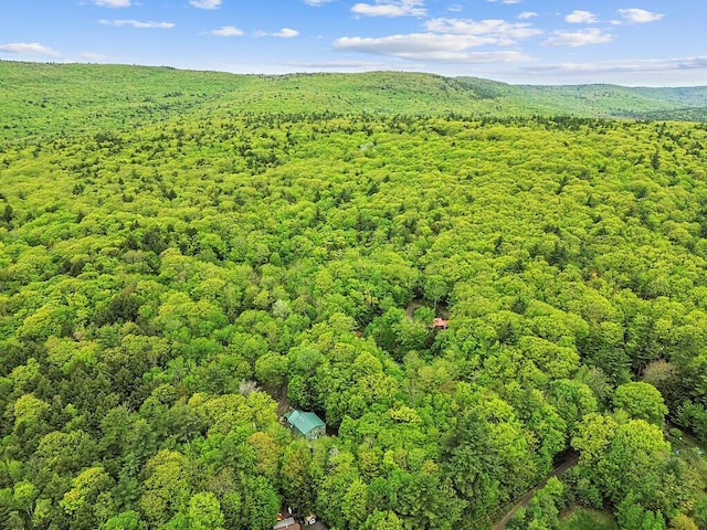 16 Trillium Ests, Rome, ME 04963 - aerial view of property's location featuring a forest