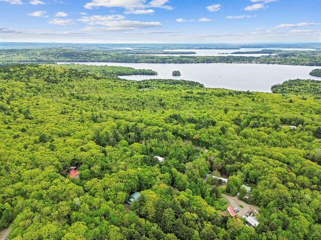 16 Trillium Ests, Rome, ME 04963 - drone / aerial view of a forest and a nearby body of water