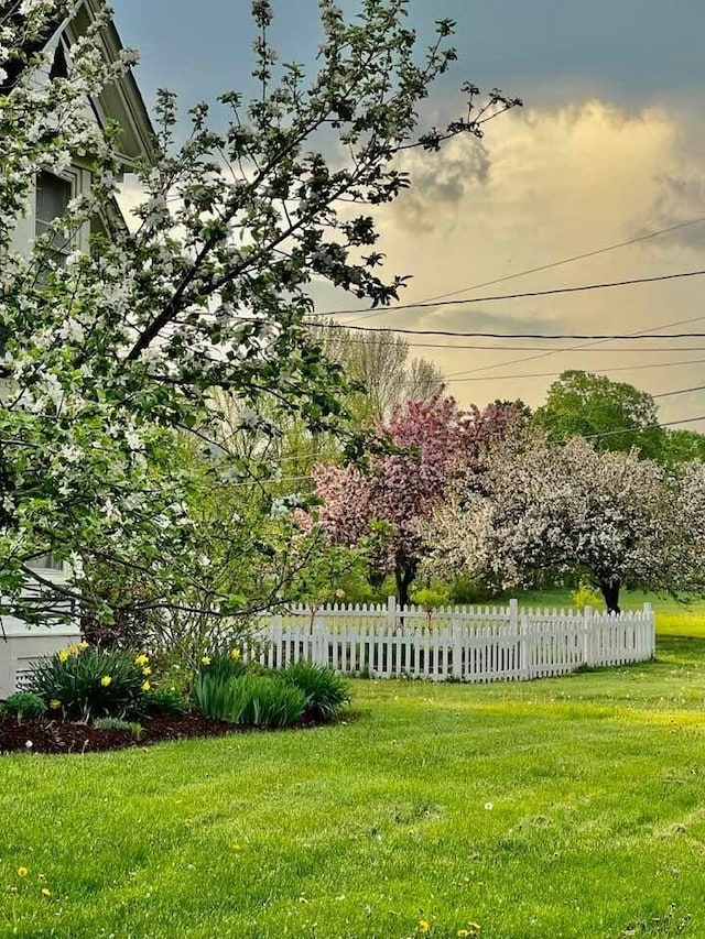 1 Forest St, Dover-Foxcroft, ME 04426 - view of yard