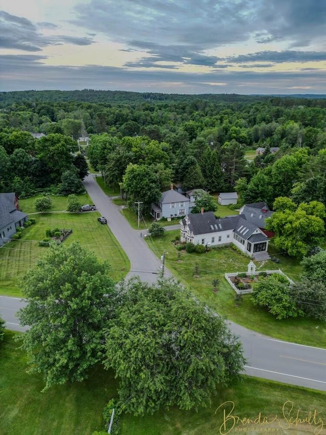 1 Forest St, Dover-Foxcroft, ME 04426 - drone / aerial view of a heavily wooded area