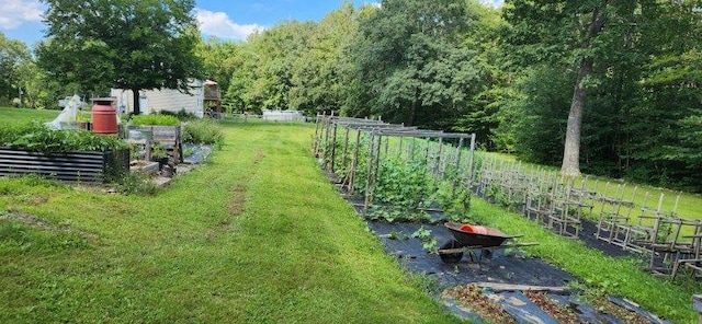 186 Clark Rd, Albion, ME 04910 - view of yard featuring a vegetable garden and a wooded view